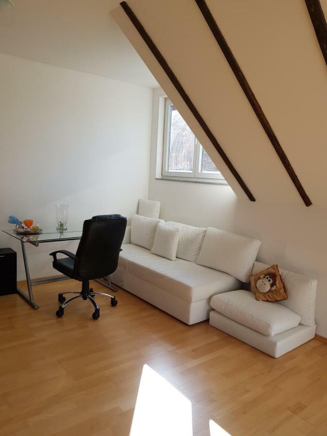 High Ceiling 2 Bedrooms Villa